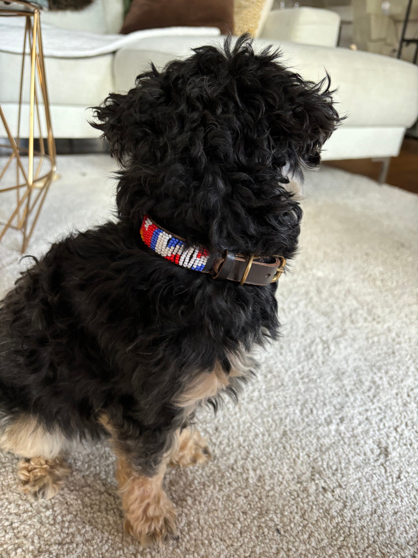 BALOE Collar Hout Bay