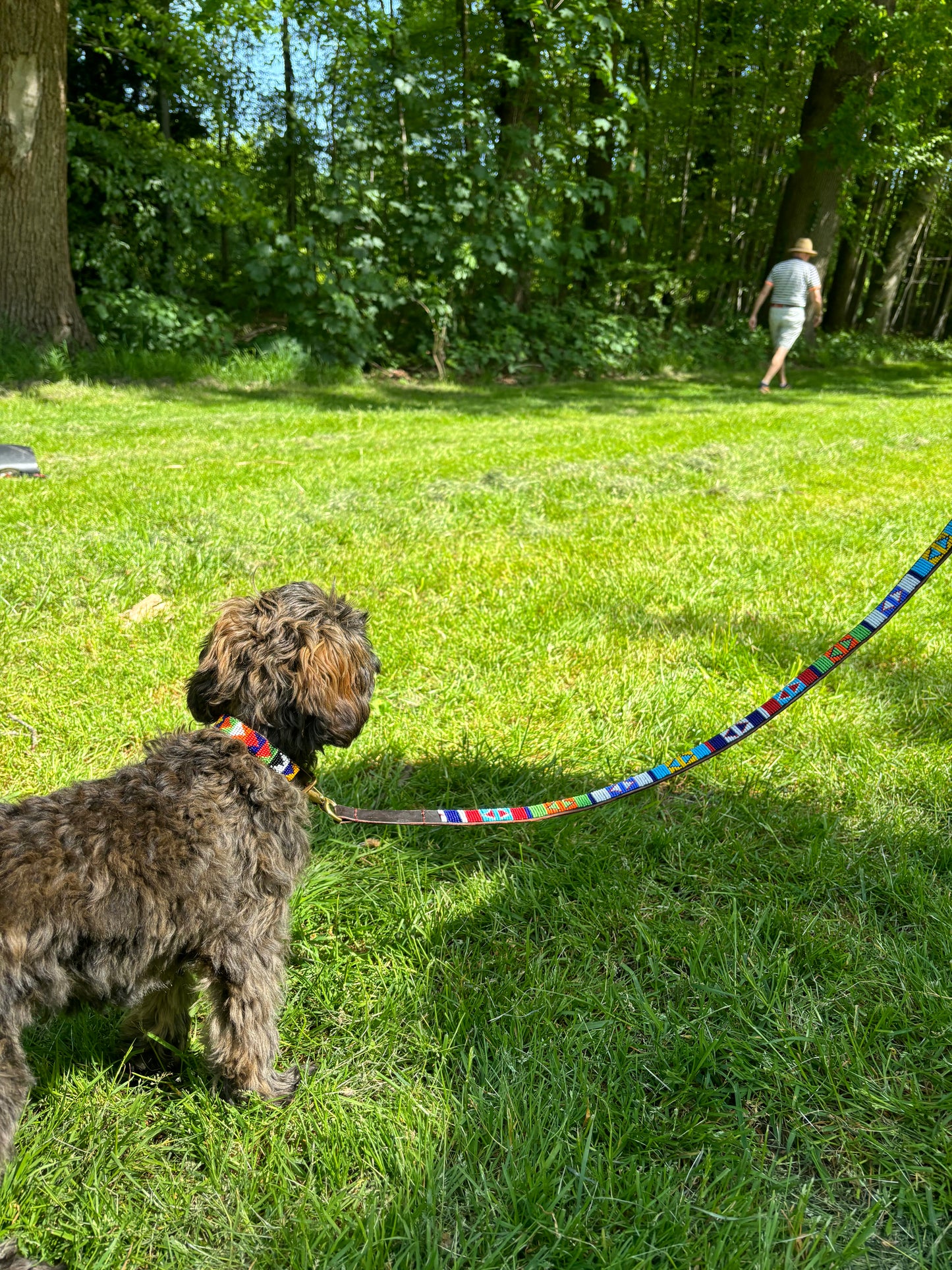 BALOE Leash June