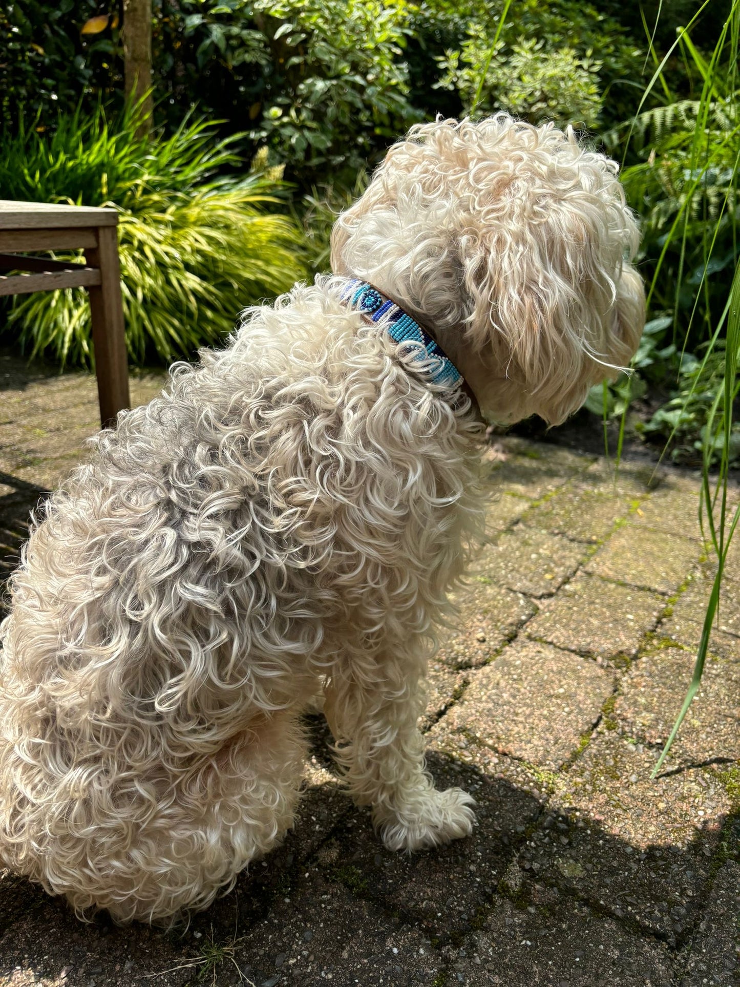 BALOE Collar Blue Eye