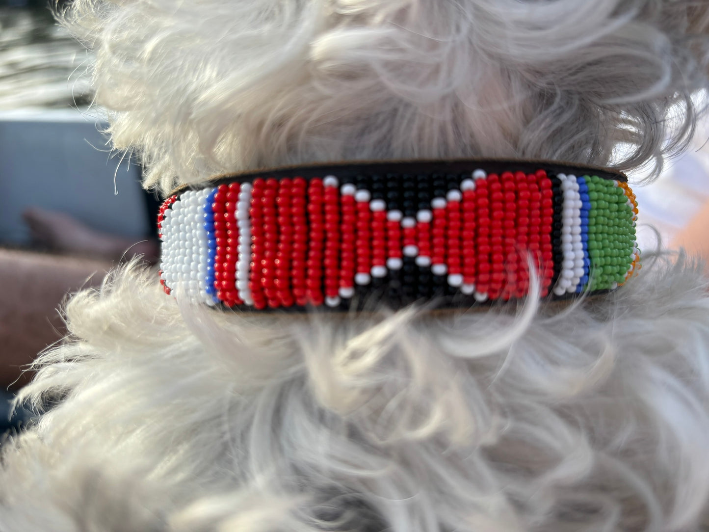 BALOE Collar Colours