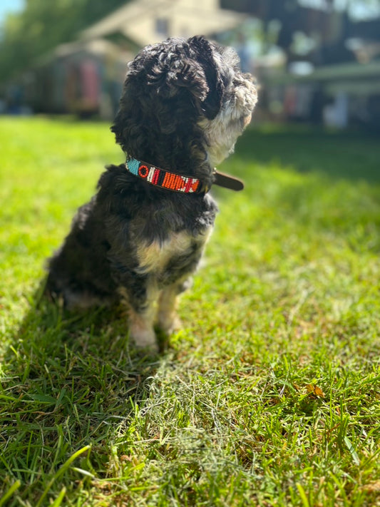 BALOE Collar Orange EK